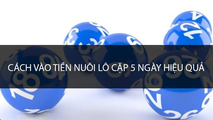 Cách vào tiền nuôi lô khung 5 ngày