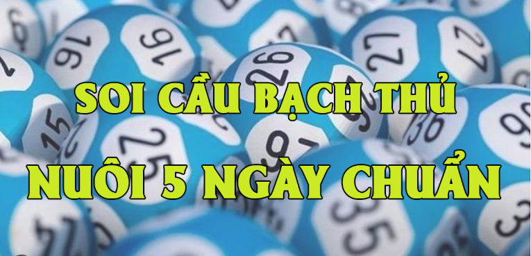 Nuôi lô bạch thủ khung 5 ngày tuyệt đối