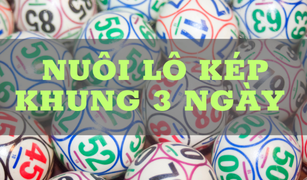 Các hình thức nuôi lô kép khung 3 ngày